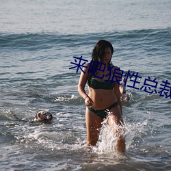 来吧狼性总裁