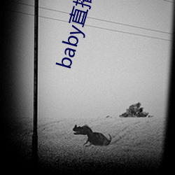 baby直播129tv新版本