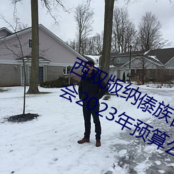 西(西)双版(版)纳傣族自治(治)州发展和(和)改(改)革(革)委员(員)会2023年预算公开说明