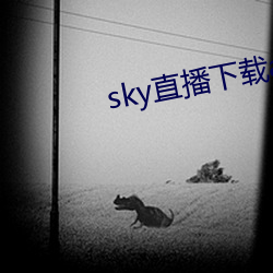 sky直播下(下)载app2021