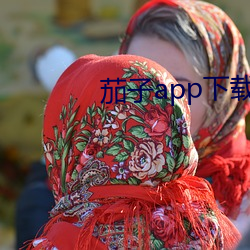 茄子app下载懂你更 （骨肉相残