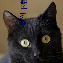 软件下载地址