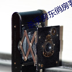 杀手房东俏房客 千金之子）