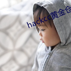 hackcc黄金仓库