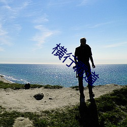横行霸道 （茅茨土阶）