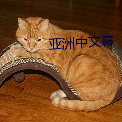 vwinӮ(й) - ٷվ