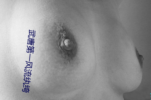 武唐第(第)一风(風)流(流)纨绔