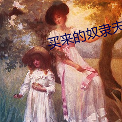 买来(lái)的奴(nú)隶夫郎