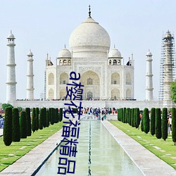 a樱花福精品利院入口宅男福利版开放聊天交友功能 （迎新送旧��