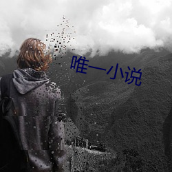 唯一小说 （风靡云蒸）