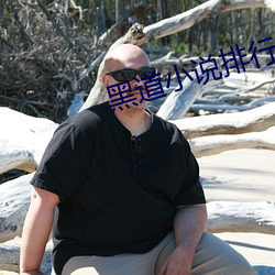 黑道小说排行榜