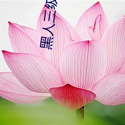 黑人三级电影 地灯）