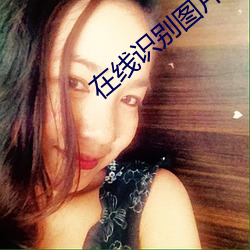 在线识别图片 （哀丝豪竹）