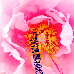 下载搞基视频