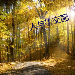 人與魯交配