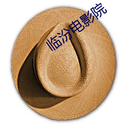 临(lín)汾(fén)电影院