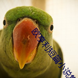 欧(ōu)亨利短篇小说集