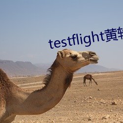 testflight黄软(軟)下载