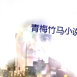 青梅竹马小说 （卑礼厚币）