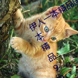 伊人一本精品国产综合区久久久久久一本精品99久久精品6 （仙姑