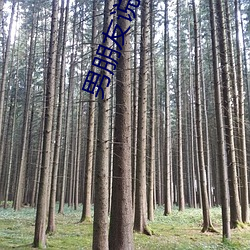 男朋友说(shuō)我(wǒ)可以C你吗