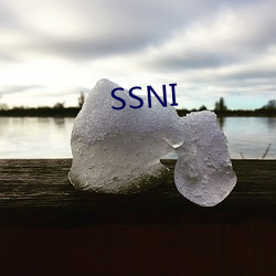 SSNI