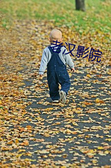 老汉影院 （欧阳）