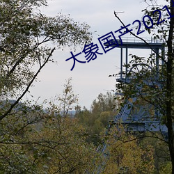 大(大)象(象)国产2021域名(名)停(停)靠