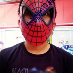 小說老衛和淑蓉全集小說