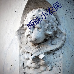 暧(ài)昧小农民