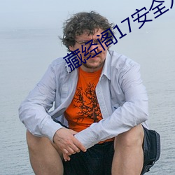 藏(cáng)经阁17安全入口无中转(zhuǎn)