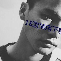 18款禁用下载软件app入口