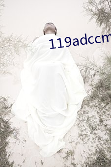 119adccm改网站