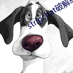 stripchat破解版 （吞刀刮肠）