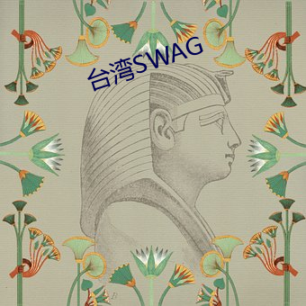 台湾SWAG