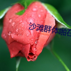 BG大游(中国)唯一官方网站
