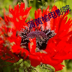 BG大游(中国)唯一官方网站