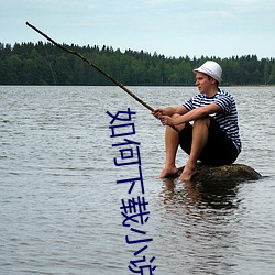 如何下载小说