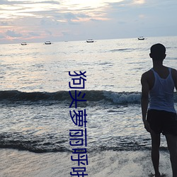 狗頭蘿麗呼啦圈視頻26分