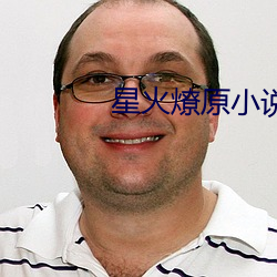 星火燎原小说