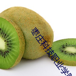 枣庄科技职业学院