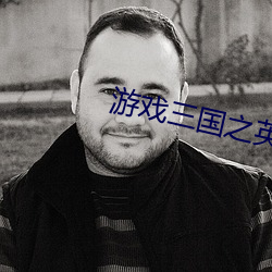 游(遊)戏(戲)三国之(之)英雄(雄)传说