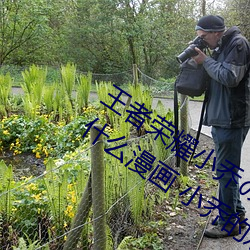 王(wáng)者荣耀小乔のかんげい歓迎(yíng)かい会(huì)是什么漫画 小乔的欢迎