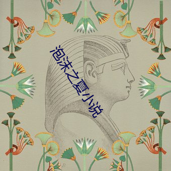 泡沫之夏小說