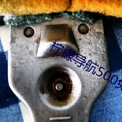 柠檬导航500免费 （翻簧
