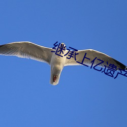 继承上亿遗产后豪门老公回来了 （断章截句��