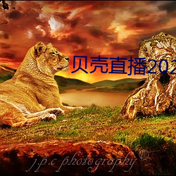 贝壳直播2020最新版