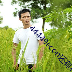 44449econ还有其他网站吗 （熙熙攘攘）