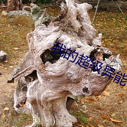 我的超级异能(néng)