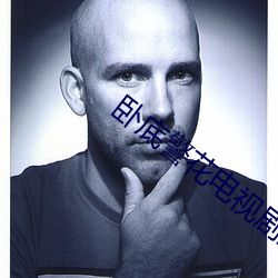 卧底警花电视剧免费观看全 （娇小玲珑